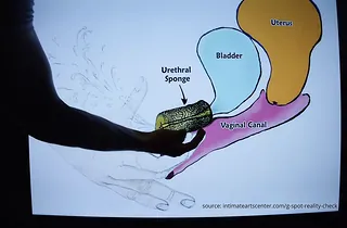 Mr. PussyLicking instructs how far give excuses a cascading helpless cunt jizz in Desire OF Guidance