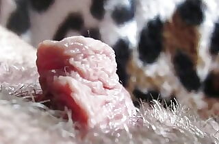 extreme close-up clitoris